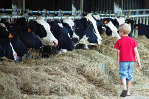 /Ferme%20découverte